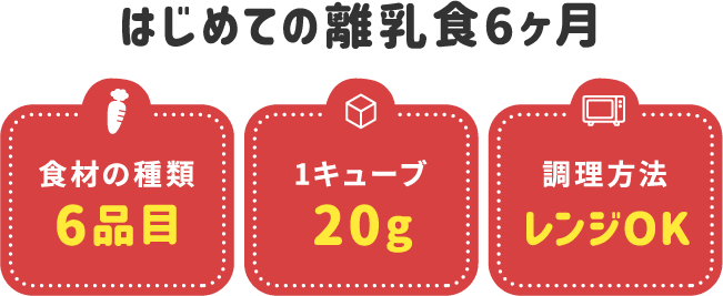はじめての離乳食6ヶ月 食材6品目 1キューブ20g レンジOK