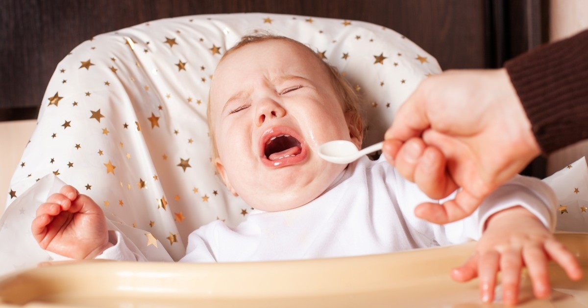 うちの子だけ…？と悩んだら。完了期の「食べない」お悩み相談室